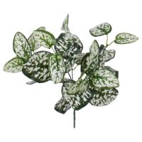 GloboStar® POLKA DOT PLANT 78259 Τεχνητό Φυτό Πόλκα - Μπουκέτο Διακοσμητικών Φυτών - Κλαδιών με Φύλλωμα Πράσινο - Λευκό Υ33cm