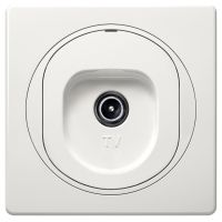 EON TV aerial socket for individual systems