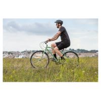 Huffy Sienna Adult Comfort & Cruiser Vintage Green Bike 27