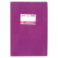 Typotrust Νotebook Explanation Purple Stripe 17x25 50 sheets (4113) (TYP4113)