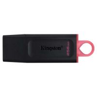 Kingston DataTraveler Exodia 256GB USB 3.2 Gen 1 (DTX/256GB) (KINDTX/256GB)